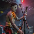 Click to enlarge GutterPunk - Professional Concert Photography